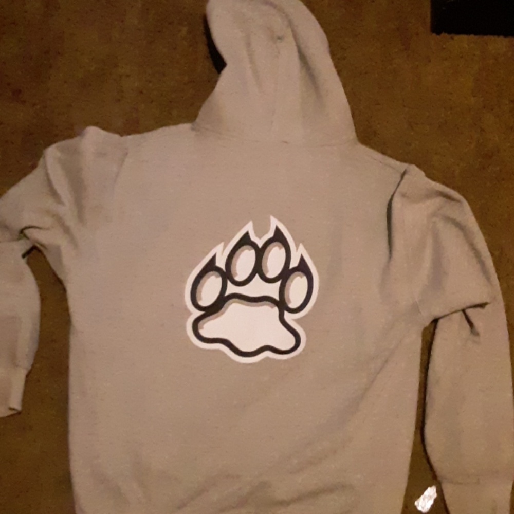 UNH Champion hoodie - Picture 3 of 3
